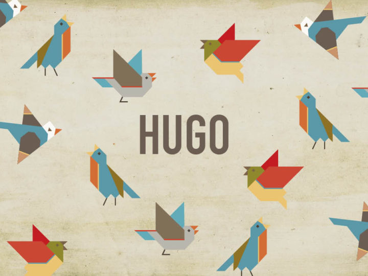 Geboortekaartje Hugo