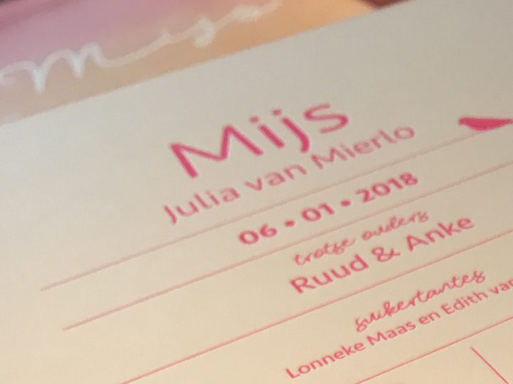 Kim Meijers porftfolio Mijs preview